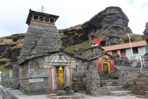 pexels vikas bhandari 421561 10432965